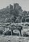 Fotografia in bianco e nero di Panther Pass, Texas, anni '60, Immagine 1