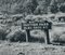 Fotografia in bianco e nero di Panther Pass, Texas, anni '60, Immagine 3