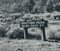 Panther Pass, Texas, 1960s, Photographie Noir et Blanc 3