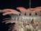 Lámpara de araña italiana de cristal de Murano con hojas rosadas, Imagen 7