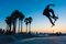 Marc Dozier, Skater in Venice Beach, Fotopapier 1
