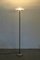 Jill Floor Lamp by King, Miranda & Arnaldi for Arteluce, 1970s 6