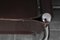 Poltrona MG5 in pelle di Matteo Grassi, set di 6, Immagine 7
