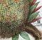 Salvador Dali, Fleurs rêvées, Pineapple, 1967, Original Etching, Image 4