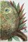 Salvador Dali, Fleurs rêvées, Pineapple, 1967, Original Etching 2