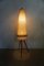 Tripod Floor Lamp with Teak Feet 2