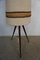 Tripod Floor Lamp with Teak Feet, Image 3