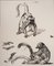 Théophile Alexandre Steinlen, The Monkeys, 1933, Lithograph 1