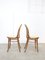 Vintage No. 18 Dining Chair by Michael Thonet 9