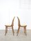 Vintage No. 18 Dining Chair by Michael Thonet, Image 9