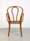 Wide No. 218 Armchair Chair by Michael Thonet 4