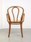 Wide No. 218 Armchair Chair by Michael Thonet, Image 4