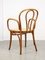 Vintage No. 218 Dining Chairs by Michael Thonet, Set of 3, Image 11