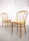 No. 18 Wide Chairs by Michael Thonet, Set of 2 3
