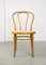 No. 18 Wide Chairs von Michael Thonet, 2er Set 11