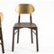 Beech Structure Stained Gold Leaf Bokken Dining Chair by Colé Italia, Set of 4 2