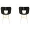 Black Open Pore Seat Tria Gold 4 Legs Chair by Colé Italia, Set of 2 1