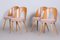 Mid-Century Modern Chairs by Antonín Šuman, Czechia, 1950s, Set of 4 6