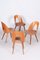 Mid-Century Modern Chairs by Antonín Šuman, Czechia, 1950s, Set of 4 10