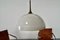 Large Adjustable Hanging Lamp with Porcelain Screen by Florian Schulz 3