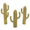 Cactus in Esparto Grass, Image 3