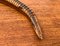 Vintage Flexible Wooden Snake Sculpture 11