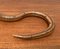 Vintage Flexible Wooden Snake Sculpture 23