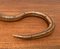 Vintage Flexible Wooden Snake Sculpture, Image 23