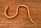 Vintage Flexible Wooden Snake Sculpture 31