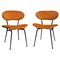 Dining Chairs by Gastone Rinaldi for Rima, Italy, 1960s, Set of 2 1