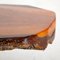 Hand-Crafted Lacquered Log Coffee Table 6