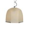 Triccia Ceiling Lamp attributed to Salvatore Gregorietti for Lamperti, Italy, 1960s 3