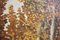Bosque en otoño, óleo sobre lienzo, enmarcado, Imagen 5