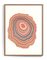 Pernille Snedker, Salmon Woodrings # 05, Archival Giclée Fine Art Print, Imagen 1