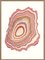 Pernille Snedker, Anillos de madera rosa # 12, Impresión Giclée, Imagen 1