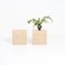 Travertine Side Table by P. A. Giusti & E. Di Rosa for Up & Up, Set of 2 15