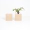 Travertine Side Table by P. A. Giusti & E. Di Rosa for Up & Up, Set of 2, Image 15