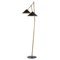 Grenverk Black Raw Brass Floor Lamp by Johan Carpner for Konsthantverk, Image 1