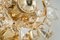 Wandlampen aus vergoldetem Messing & Kristallglas von Palwa, 1960er, 2er Set 6