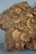 Ammonite Cluster o Dactylioceras Athleticum, Immagine 5