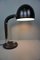 Grande Lampe de Bureau Mid-Century par Egon Hillebrand 1