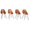 Vintage Italian Medea Dining Chairs in Wood by Vittorio Nobili for Tagliabue, Set of 6, Image 2