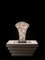 Steel & Crystal Exclamation Arabesque Table Lamp from Vgnewtrend 3