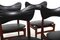 Butterfly Dining Chairs by Inge & Luciano Rubino fpr Sorø Stolefabrik, Set of 4 3