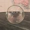 Antique English Victorian Glass & Beech Display Dome, 1900 8