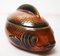 Französischer Keramik Fisch von Sarreguemines, 1950er 1