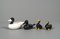 Porcelain Ducks in Black & White, 1970s, Set of 4 8