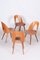 Mid-Century Modern Chairs by Antonín Šuman, 1950s, Set of 4 11