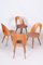 Mid-Century Modern Chairs by Antonín Šuman, 1950s, Set of 4, Image 11