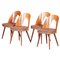 Mid-Century Modern Chairs by Antonín Šuman, 1950s, Set of 4 1